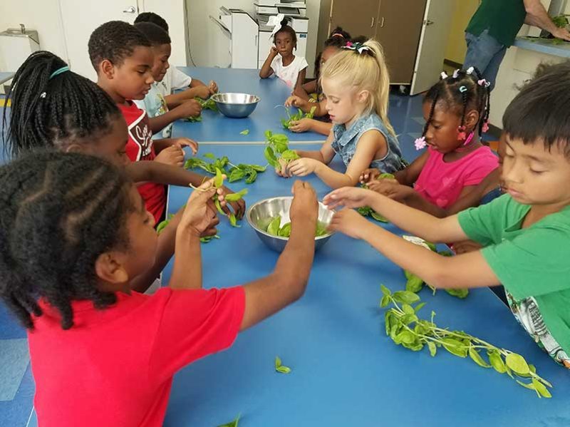 Alief ISD PreK Partnership West Oaks Private PreSchool & Grandma's